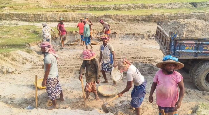 নদী থেকে বালু-মাটি কেটে নিয়ে যাচ্ছে ইউপি চেয়ারম্যান