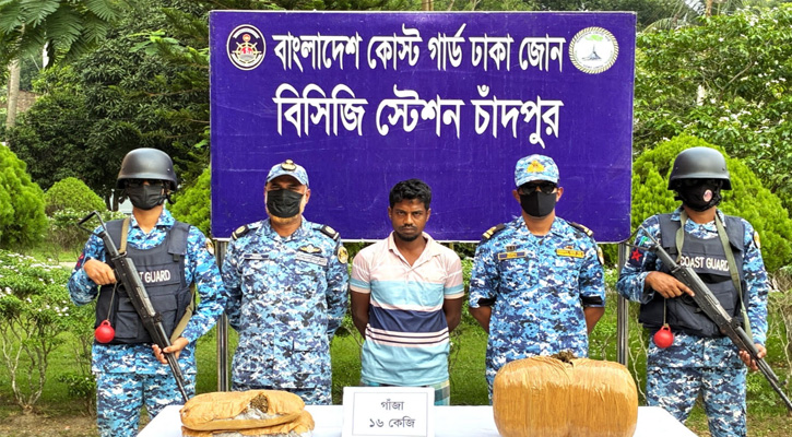 চাঁদপুরে কোস্ট গার্ডের অভিযানে  ১৬ কেজি গাঁজাসহ আটক ১