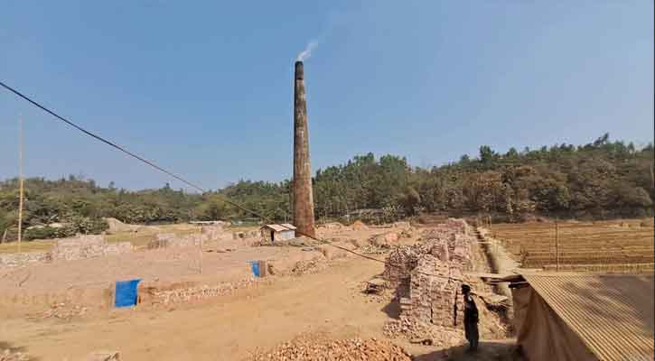 লামায় অবৈধ ইটভাটার‘রাজধানী’ ফাইতং ইউনিয়নে পুড়ছে বনের কাঠ