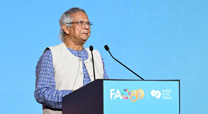 রেমিট্যান্স না আসলে সরকারের টিকে থাকা মুশকিল ছিল: প্রধান উপদেষ্টা