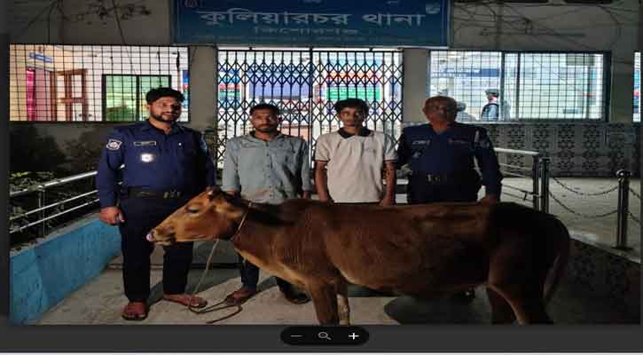 কুলিয়ারচরে চুরি হওয়া গরুসহ দুই চোর আটক