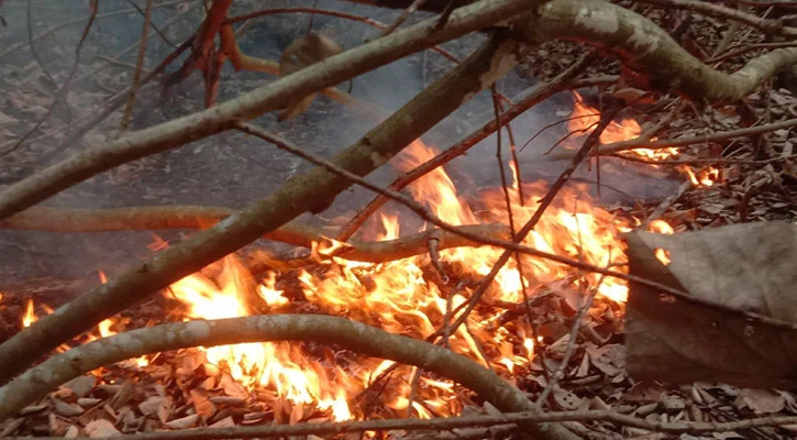 সুন্দরবনের কলমতেজী ফরেস্ট টহল ফাঁড়ি এলাকায় আগুন