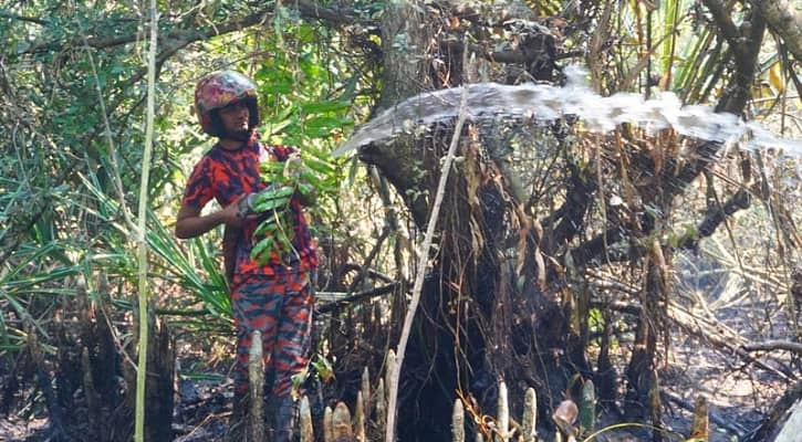 সুন্দরবনের আগুন নিয়ন্ত্রণে
