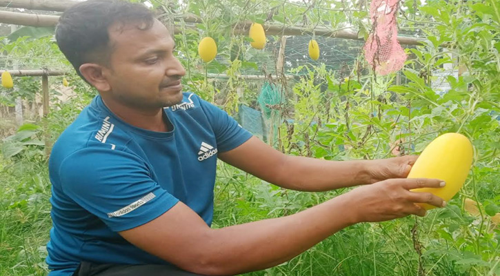 অসময়ের তরমুজ চাষে হাসানুরের সাফল্য