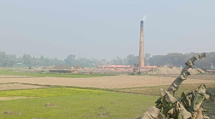সারাদেশে ইটভাটার মালিকরা মানছে না কোনো আইন