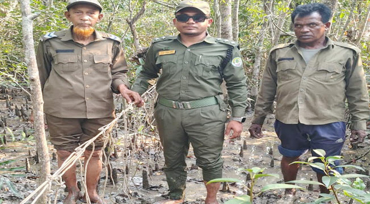 হরিণ ধরা ফাঁদ জমা দিলেই মিলবে পুরস্কার