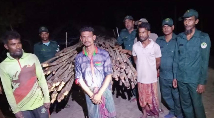 সুন্দরবনের কর্তন নিষিদ্ধ গরান কাঠ সহ তিন চোরাকারবারি আটক