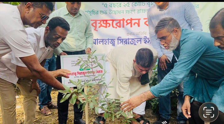 ব্রাহ্মণবাড়িয়া জেলা পরিষদের উদ্যোগে বৃক্ষরোপণ