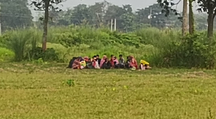 চাঁপাইনবাবগঞ্জে সীমান্ত দিয়ে ২০ জনকে পুশইনের চেষ্টা