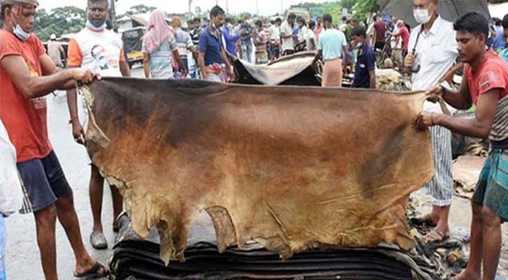 চামড়ার দামে এবার ব্যাপক ধস, হতাশ খুচরা ব্যবসায়ীরা