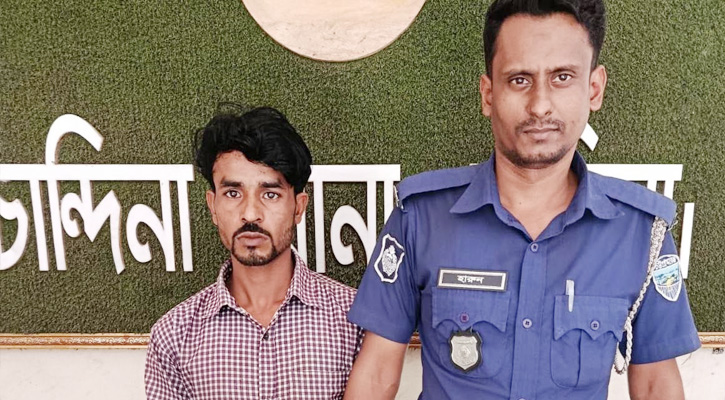 চান্দিনায় মুখোশ পড়ে প্রবাসীর বাড়িতে ডাকাতির ঘটনায় আটক ১