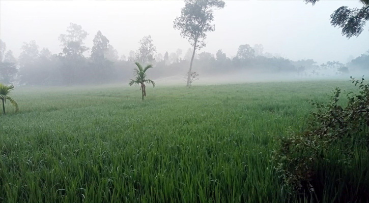 কুড়িগ্রামে শীতের আনাগোনা, ভোরে কুয়াশায় ঢাকছে চর-গ্রাম