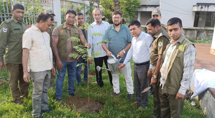 লামায় বৃক্ষরোপণ কর্মসূচি উদ্বোধন