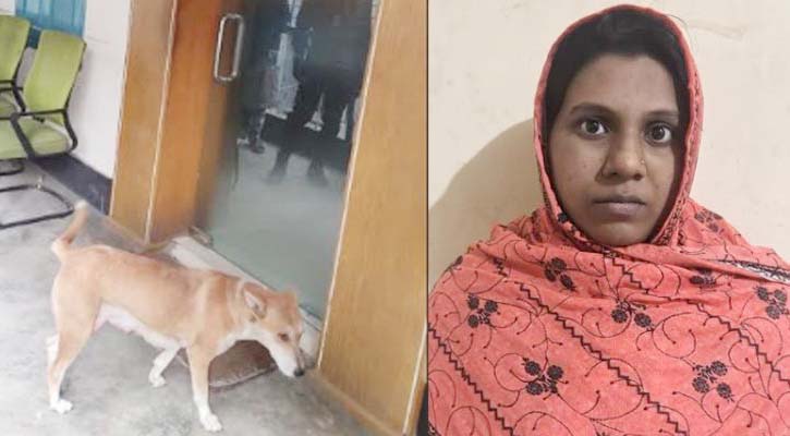 ৮ কুকুরছানাকে চুবিয়ে হত্যায় হতে পারে যে শাস্তি