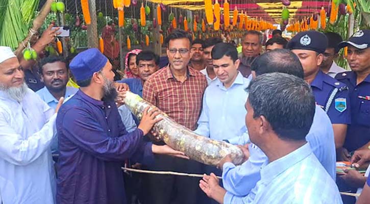 মানকচু দিয়ে প্রধান অতিথিকে বরণ