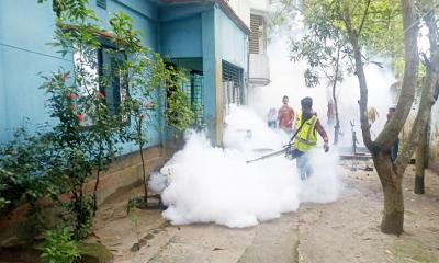 চান্দিনা পৌরসভায় মশক নিধন কার্যক্রম পরিচালনা