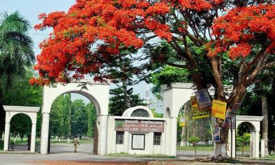 জুলাই অভ্যুত্থানের বর্ষপূর্তি উপলক্ষে ইবিতে মাসব্যাপী বর্ণাঢ্য কর্মসূচি