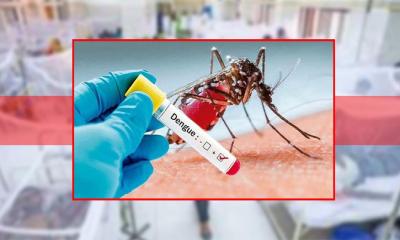 ২৪ ঘণ্টায় ডেঙ্গুতে আরও দুইজনের মৃত্যু, শনাক্ত ৩৯৪