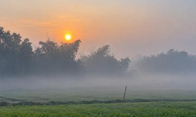 বরিশালে ভোরের কুয়াশায়  শীতের অনুভূতি