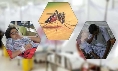 ডেঙ্গুতে আরও ২ জনের মৃত্যু, শনাক্ত ৩৯২