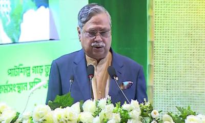 হাজারো প্রাণের বিনিময়ে গণতন্ত্রের ধারায় ফিরেছে বাংলাদেশ : রাষ্ট্রপতি