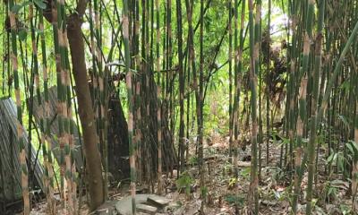 ভালুকায় প্রতিবেশীদের হয়রানির অভিযোগ
