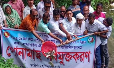 মুকসুদপুরে প্রাতিষ্ঠানিক জলাশয়ে পোনা মাছ অবমুক্ত