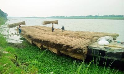 মাগুরার পাটকাঠিতে সচল নারায়ণগঞ্জ ও বরিশাল