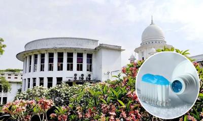 ২৬ টুথপেস্টে মাইক্রোপ্লাস্টিক: তদন্ত চেয়ে হাইকোর্টে রিট