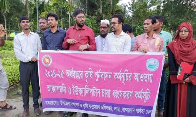 লামায় আকাশমনি ও ইউক্যালিপটাস গাছের চারা ধ্বংস করলেন প্রশাসক মো.মঈন উদ্দিন