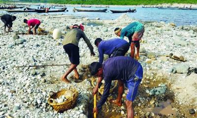 সিলেটে পাথর লুটপাটের ঘটনায় ৫ জন গ্রেপ্তার