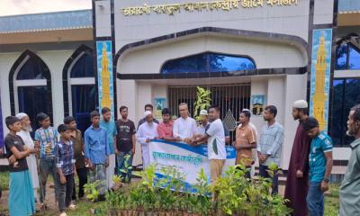 সবুজের ছায়ায় বদলাবে দাঁতমারা বৃক্ষরোপণ ও চারা বিতরণে মানবতার আহবান ফাউন্ডেশন