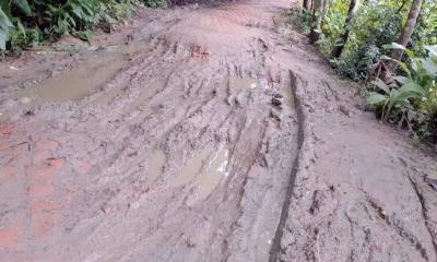 উজিরপুর পৌরসভার গুরুত্বপূর্ণ সড়কের বেহাল দশা - দ্রুত সংস্কারে দাবী পৌরবাসীর।
