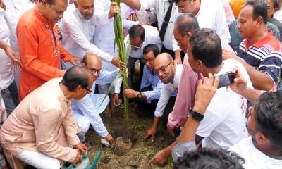 ঝিনাইদহে কৃষকদলের বৃক্ষরোপণ কর্মসূচি অনুষ্ঠিত