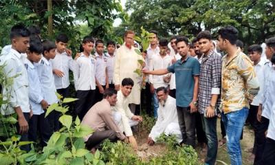 হরিণাকুন্ডুতে পরিবেশের ভারসাম্য রক্ষায় গাছের চারা রোপন ও বিতরণ