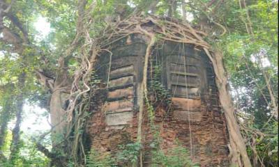 নগরকান্দায় প্রাচীন স্থাপনা  বটগাছের শিকড়ে আবদ্ধ