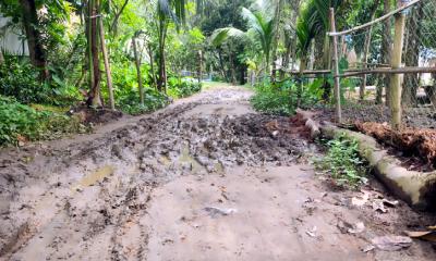 শ্রীবরদীতে কাবিখা প্রকল্পে অর্থ আত্মসাতের অভিযোগ