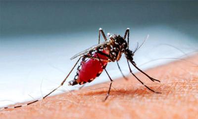 একদিনে ডেঙ্গুতে আরও ৫ জনের মৃত্যু