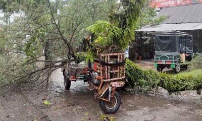 কালবৈশাখীর তাণ্ডব: পিরোজপুরে নসিমনের ওপর গাছ, আহত ২