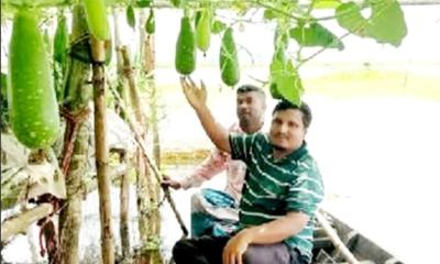 নবীনগরে জলাবদ্ধ জমিতে  ভাসমান সবজি চাষ