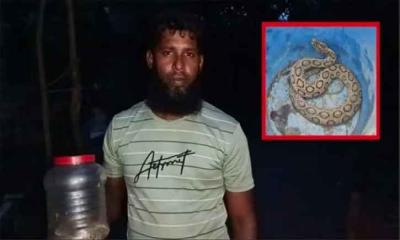 চাঁদপুরে জ্যান্ত সাপ নিয়ে হাসপাতালে যুবক