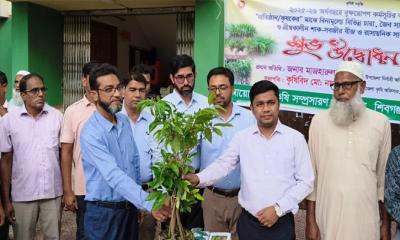 শিবগঞ্জে বৃক্ষরোপণ কর্মসূচির আওতায় বিনামূল্যে চারা, বীজ ও সার বিতরণ