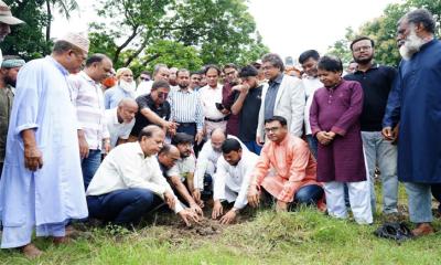 রাজশাহীতে ‘বৃক্ষরোপণ কর্মসূচি-২০২৬’ উদ্বোধন