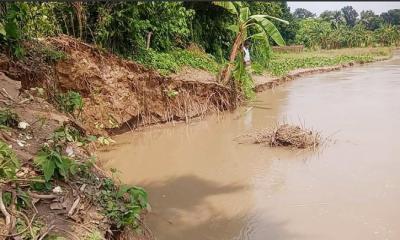 শ্রীপুরে গড়াই নদীর ভাঙনের মুখে বেড়িবাঁধ, ঝুঁকিতে ৫০০ পরিবার