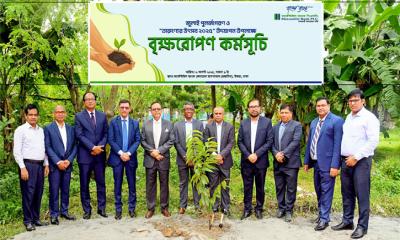 মার্কেন্টাইল ব্যাংকের বৃক্ষরোপণ কর্মসূচি পালিত