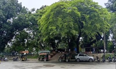 জীববৈচিত্র্য সংরক্ষণ এলাকা হলো রাজশাহীর শিমলা পার্ক, মানতে হবে যেসব নিয়ম