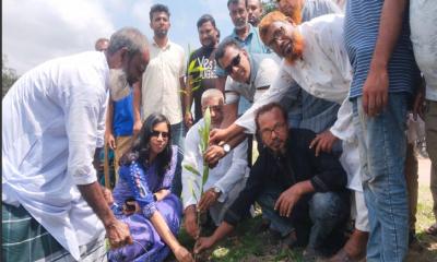 পাঁচবিবির বাগজানাতে ২ হাজার গাছ লাগালেন ইউপি চেয়ারম্যান নাজমুল হক