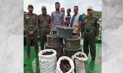 সুন্দরবনে বিশেষ অভিযানে ৫ নৌকা সহ অবৈধ কাঁকড়া জব্দ