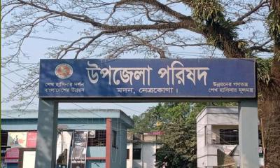 মদনে একদিনে শেয়ালের কামড়ে নারী ও শিশুসহ আহত ১৭