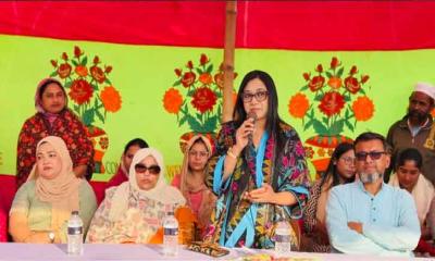 উন্নয়ন নিশ্চিত করতে ধানের শীষে ভোট দিন - সাবরিনা বিনতে আহমেদ